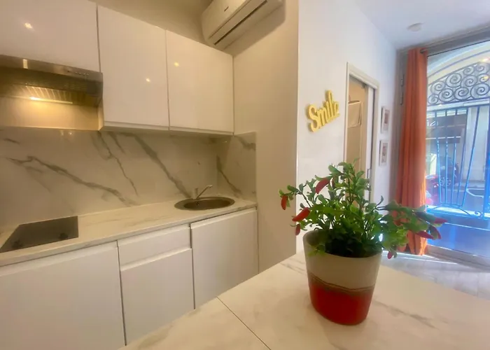 Pv1- Paul Valery Five Stars House ニース